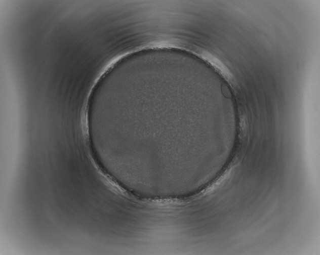 X0000111580934200907301402