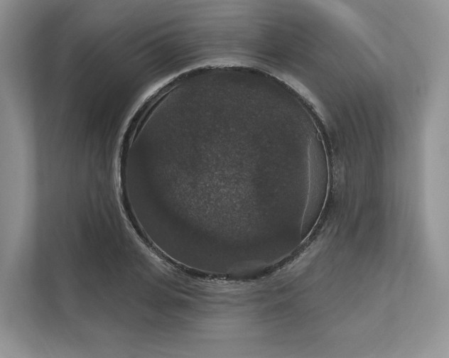 X0000111580935200907301402