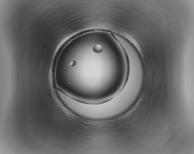 X0000111580936200907301402