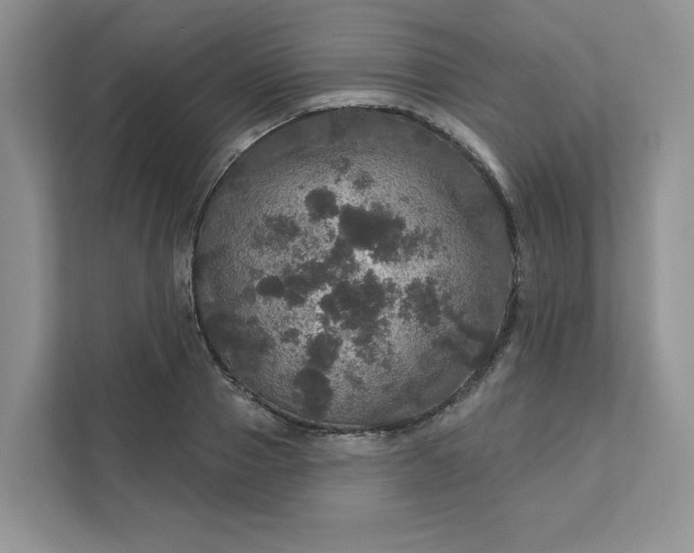 X0000111580937200907301402