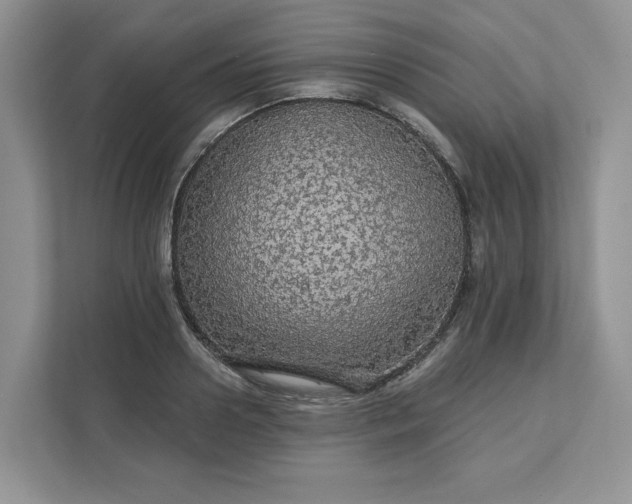 X0000111580938200907301402