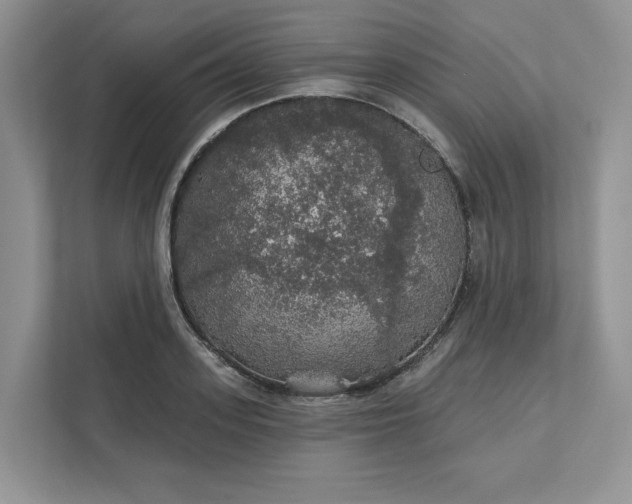 X0000111580939200907301402