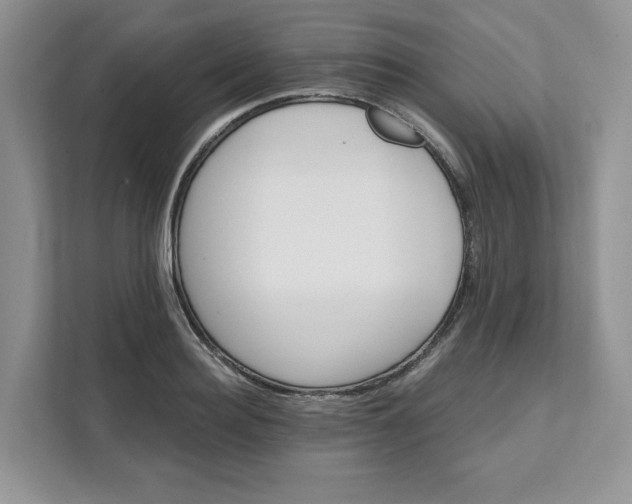 X0000111580940200907301402