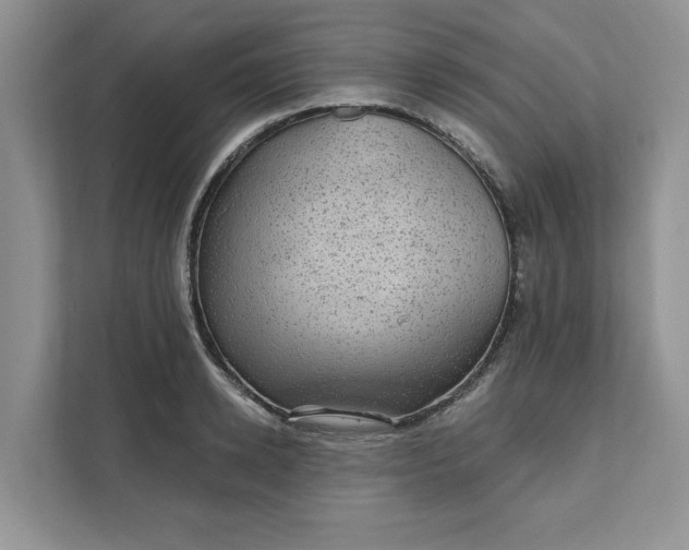 X0000111580942200907301402