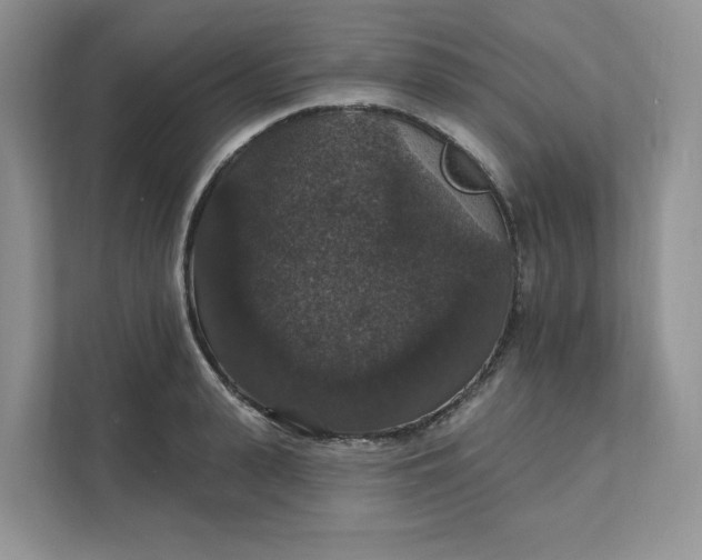 X0000111580943200907301402