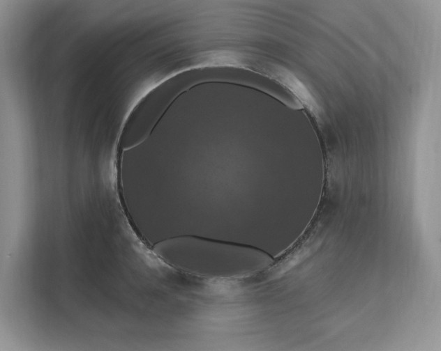 X0000111580944200907301402