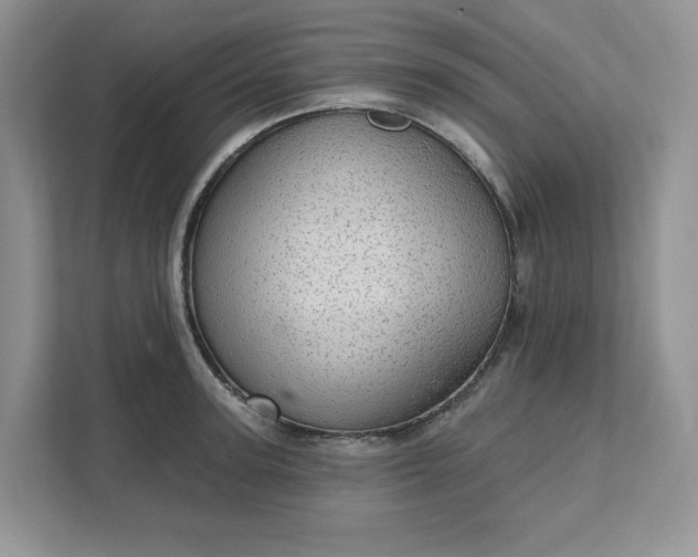 X0000111580947200907301402