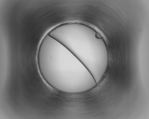 X0000111580951200907301402