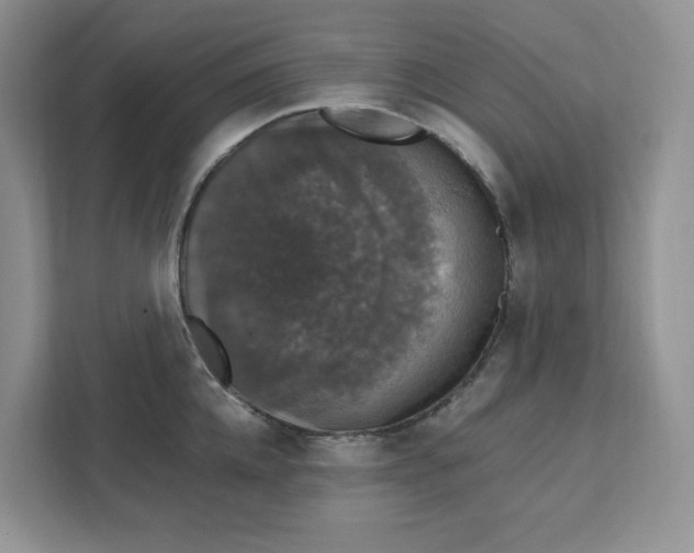 X0000111580952200907301402