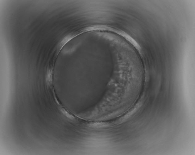 X0000111580953200907301402