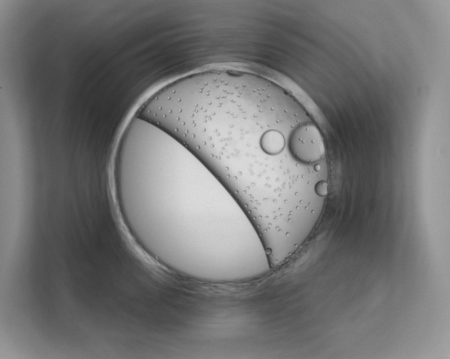 X0000111580955200907301402