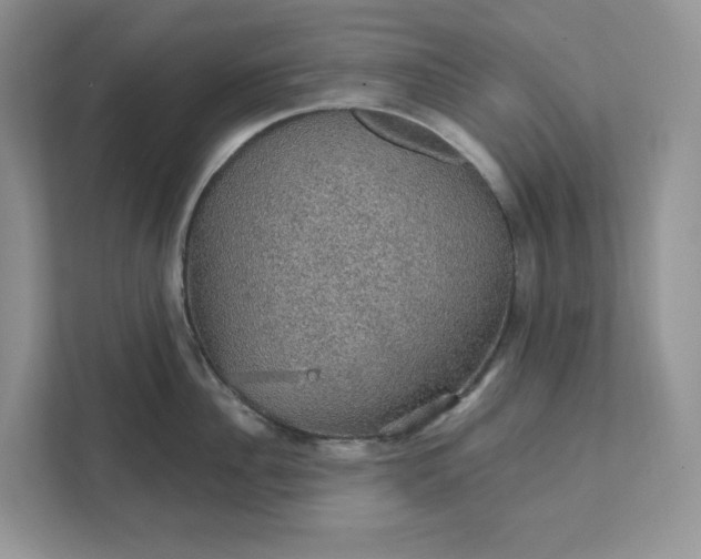 X0000111580956200907301402