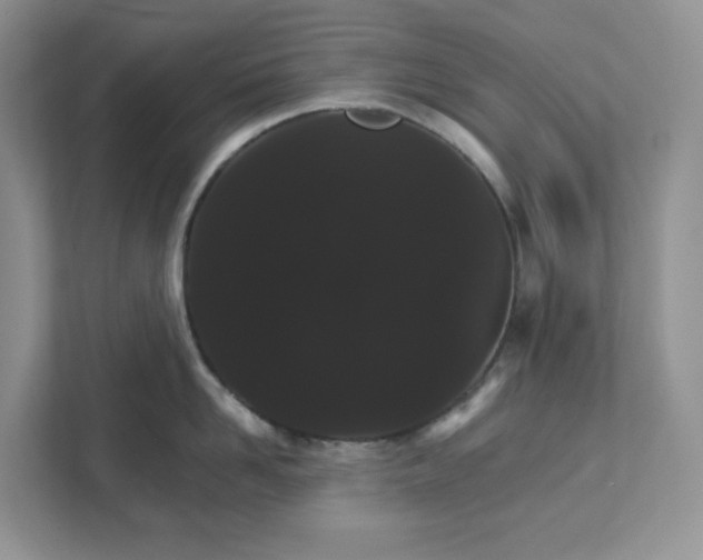 X0000111580958200907301402