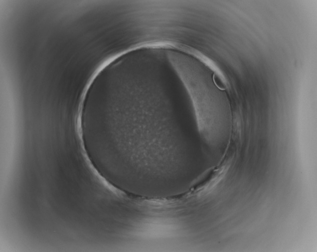 X0000111580959200907301402