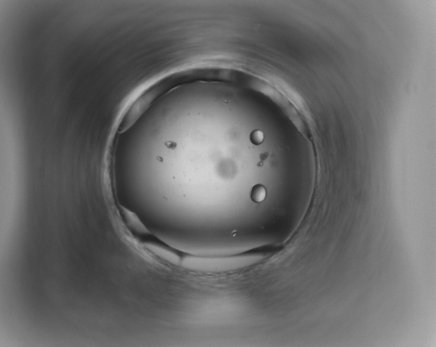 X0000111580960200907301402