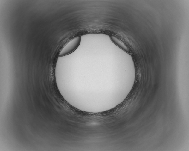 X0000111580964200907301401