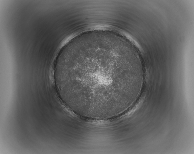 X0000111580970200907301401