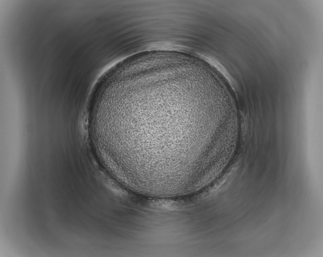 X0000111580971200907301401