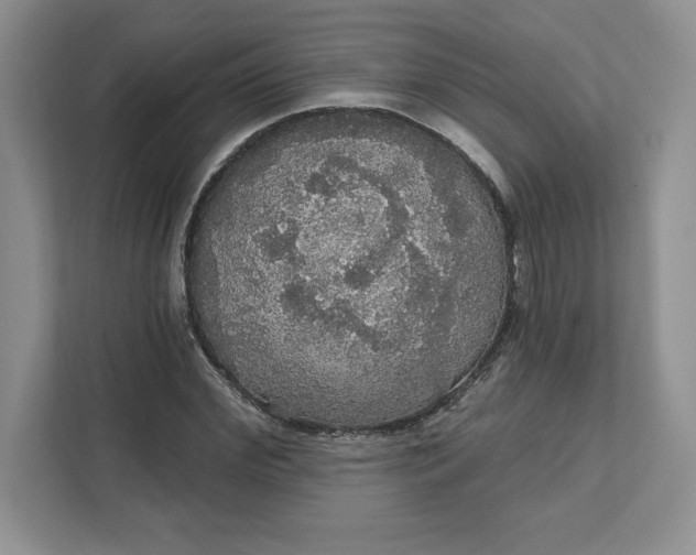 X0000111580972200907301401