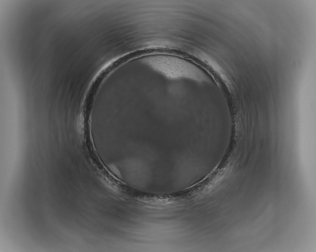 X0000111580975200907301401