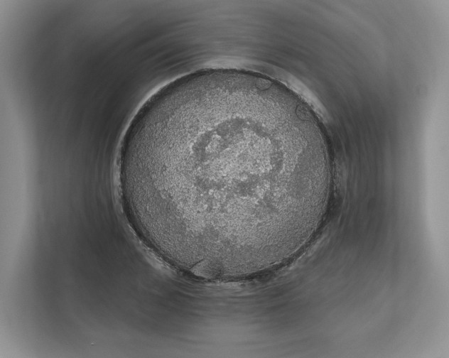 X0000111580976200907301401