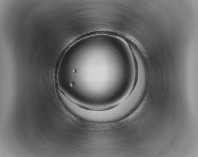 X0000111580977200907301401