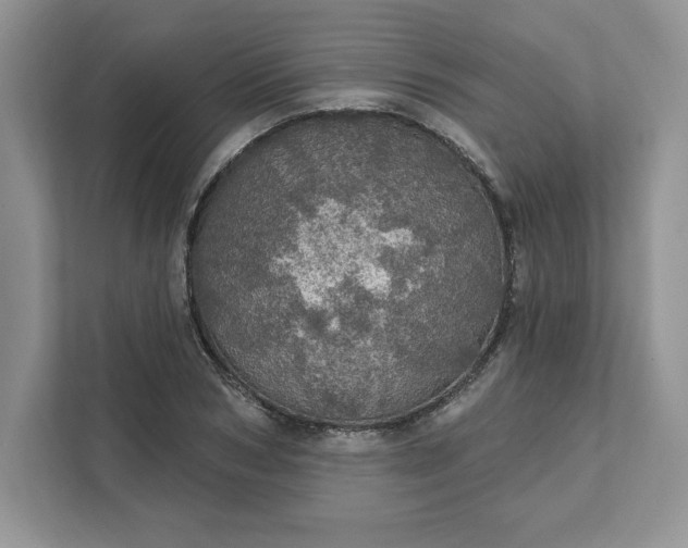 X0000111580978200907301401