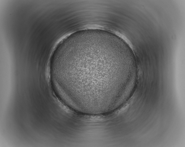 X0000111580979200907301401