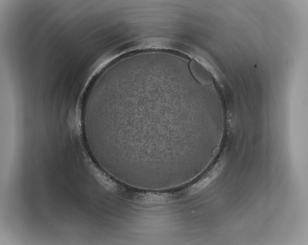 X0000111580981200907301401