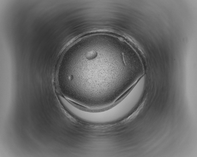 X0000111580985200907301401