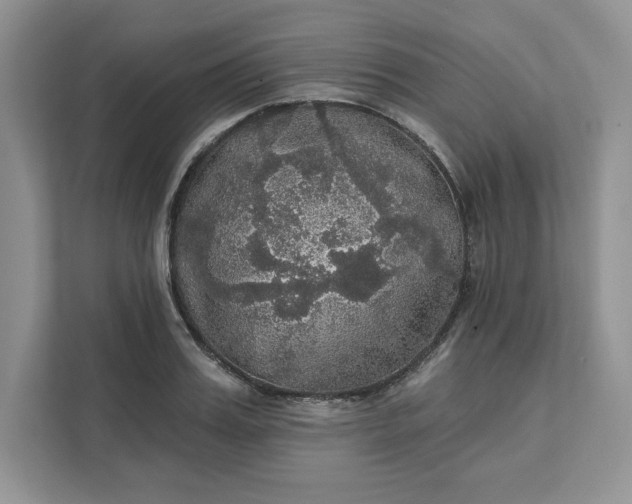 X0000111580987200907301401