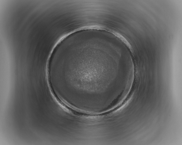 X0000111580989200907301401