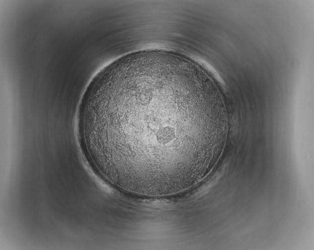 X0000111580991200907301401