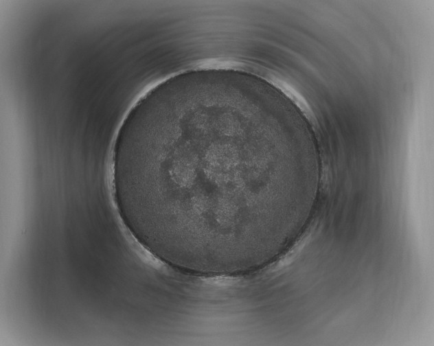 X0000111580992200907301401