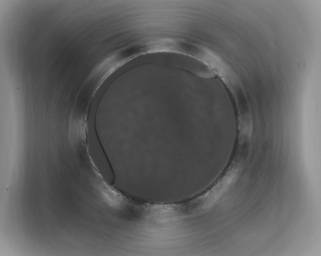 X0000111580993200907301401