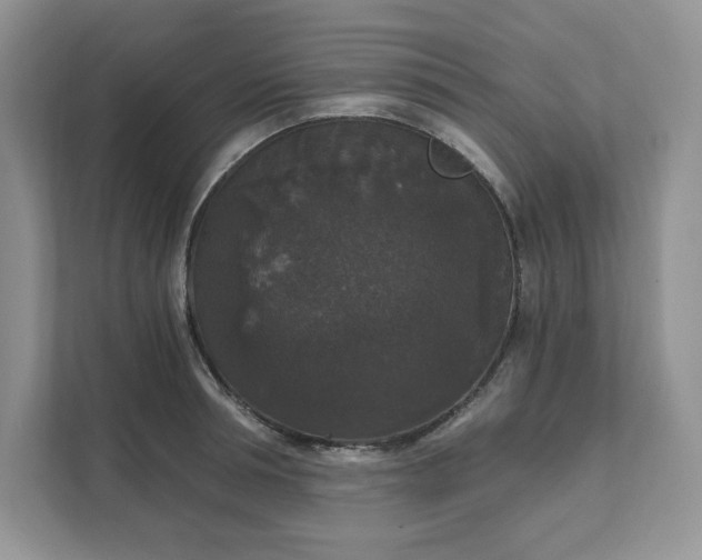 X0000111580994200907301401