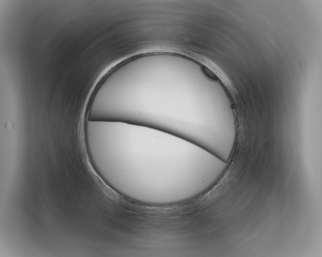 X0000111580996200907301401