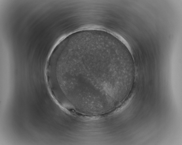 X0000111580997200907301401