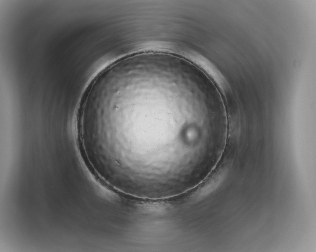 X0000111580999200907301401