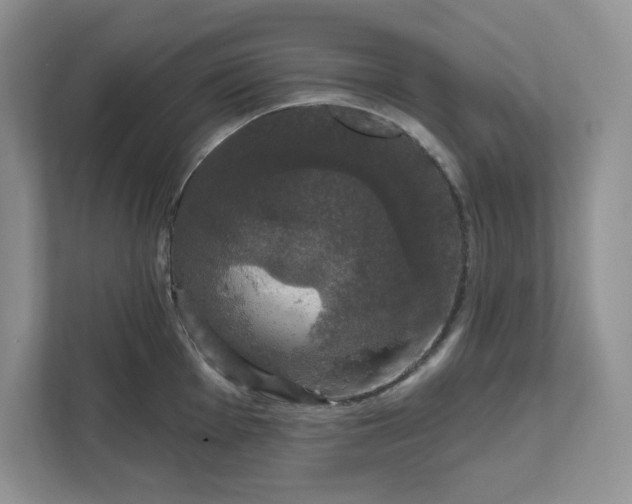 X0000111581001200907301401