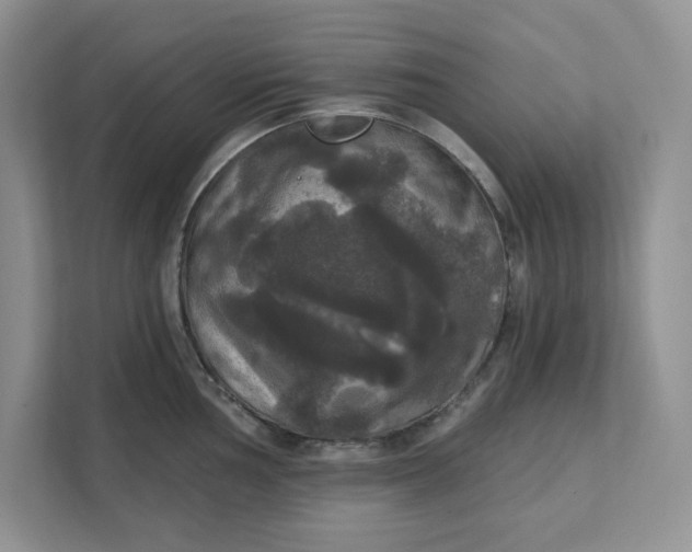 X0000111581002200907301401