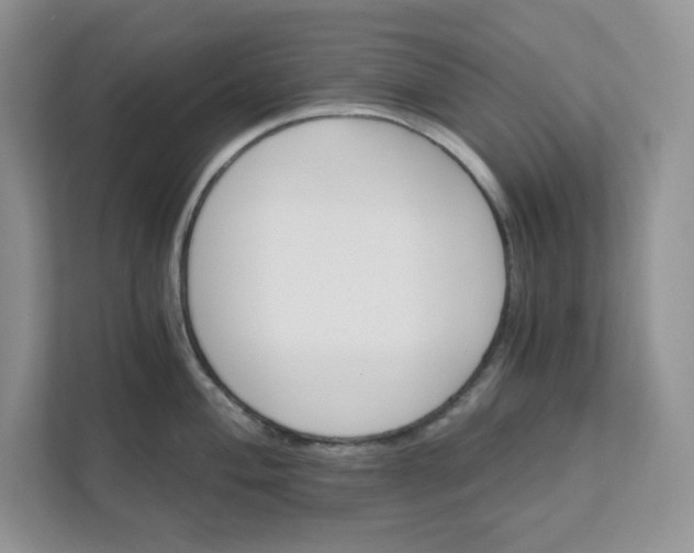 X0000111581004200907301401