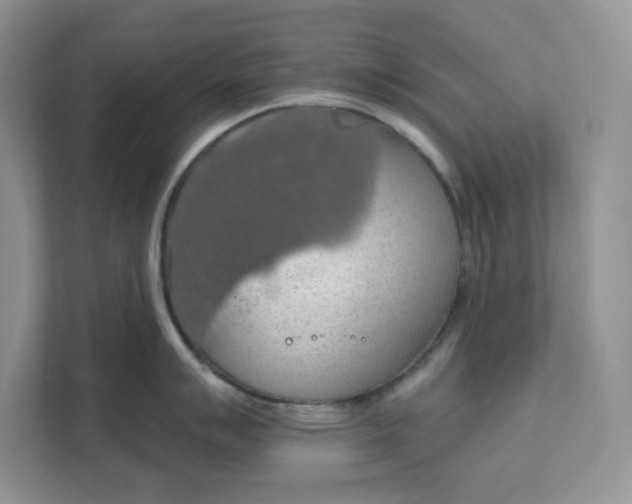 X0000111581007200907301401