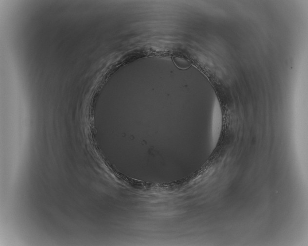 X0000111581009200907301400