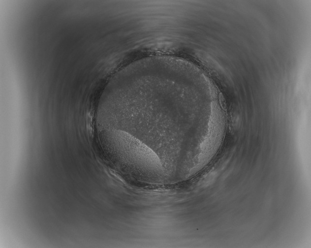 X0000111581010200907301400