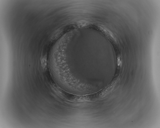 X0000111581011200907301400