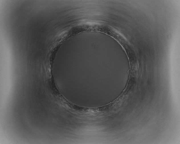 X0000111581013200907301400