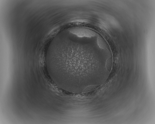 X0000111581014200907301400