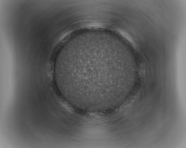 X0000111581015200907301400