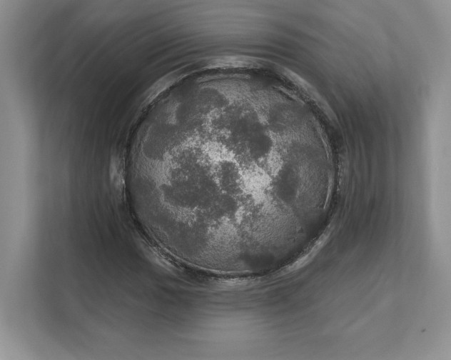 X0000111581017200907301400